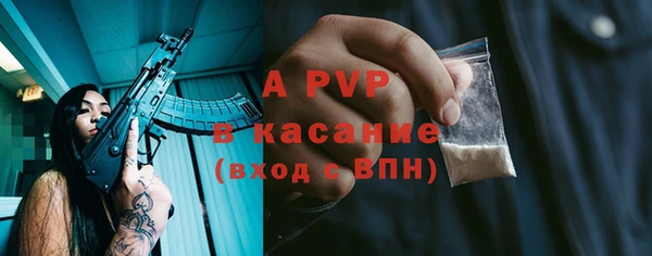 СК Гусев