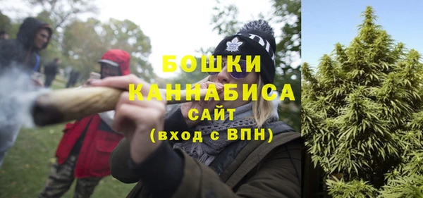 СК Гусев