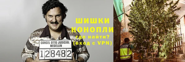 индика Александровское