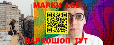 стаф Будённовск