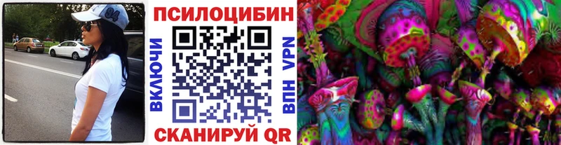 цена Ессентуки Галлюциногенные грибы Psilocybe