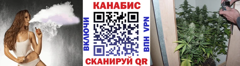 Конопля OG Kush  нарко площадка наркотические препараты  Ессентуки  mega ТОР 